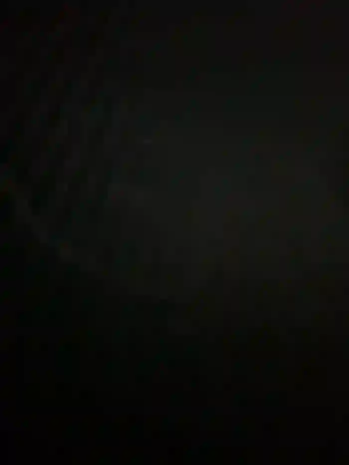 Salome_golvert