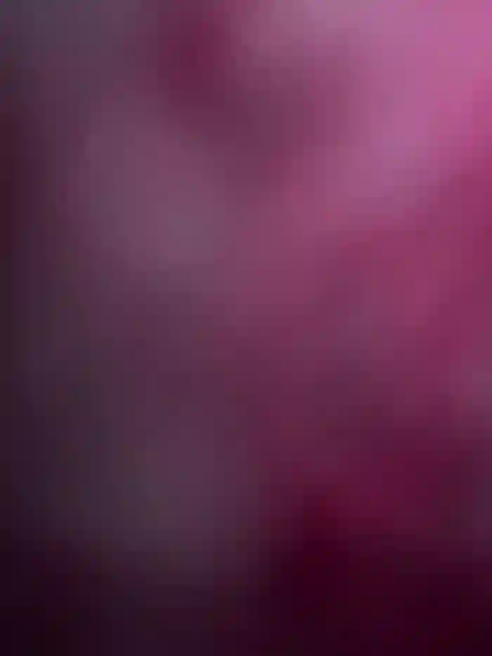 bambi_lu