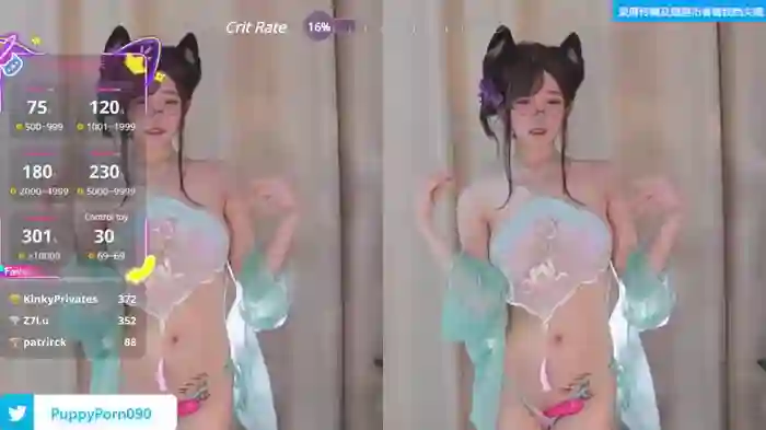 nide_xiaogou