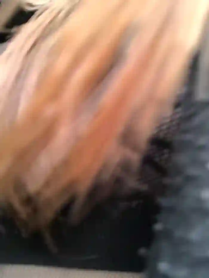 Katy__A