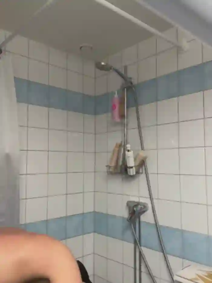 SwingWingWomanSweden