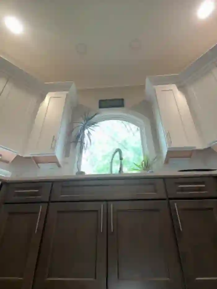 NicoleCocksXXX