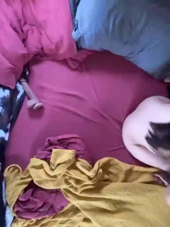 LeaGambit__