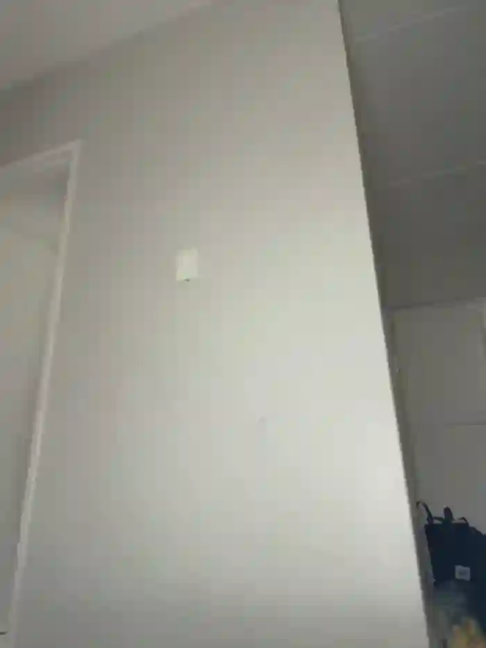 StupidNaturalPhatBooty_