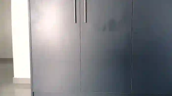 katt008