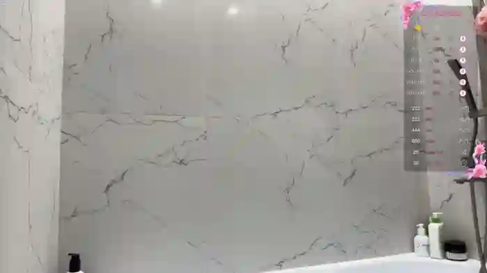 avroramey