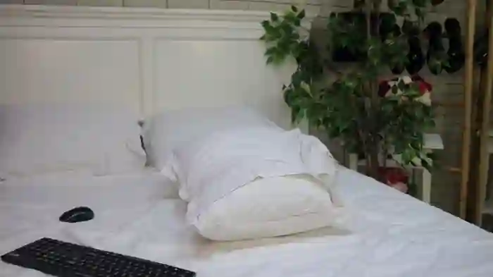 EmillyBronte