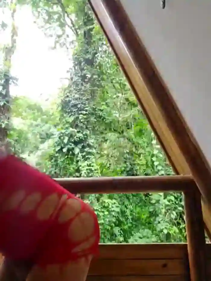 CataleyaRusso
