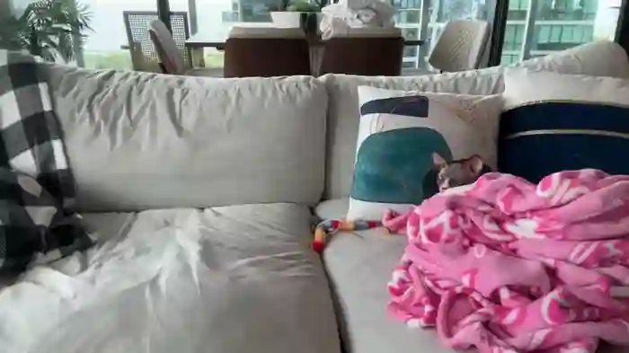 Graciemae_baexx