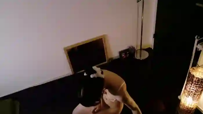 JP_Erotic_LIVE-Camera_