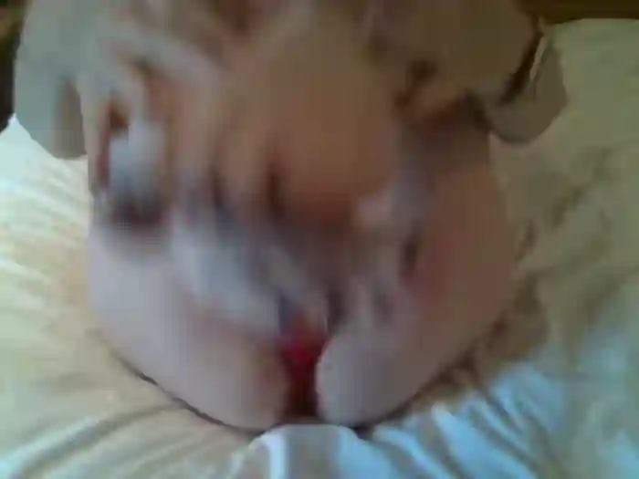 Msgeeuk