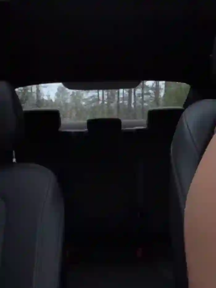 clairewntr