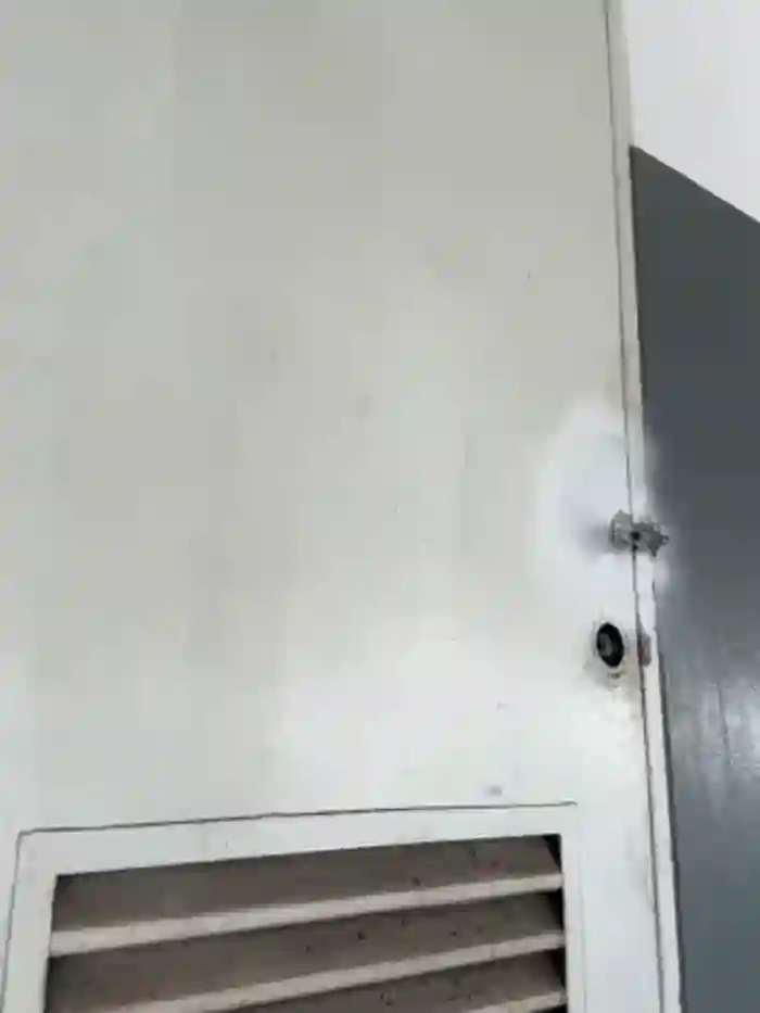 melissa_grr