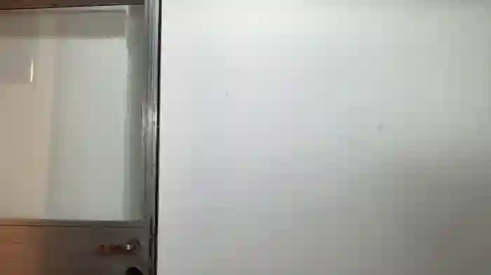 Lolykush