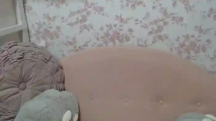 mei_hosina