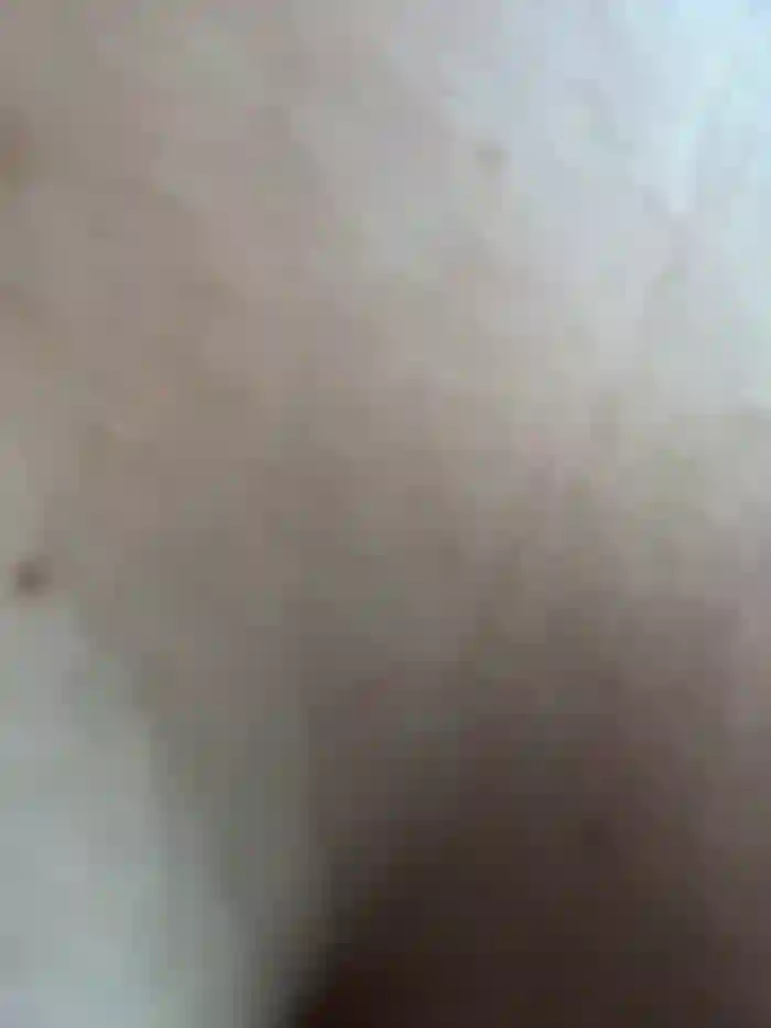 CrazyTori