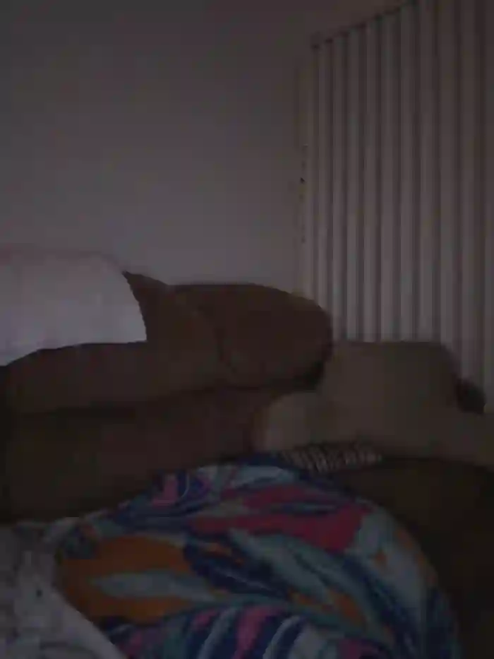 Thickarella420