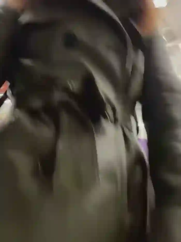 Dina_Tease