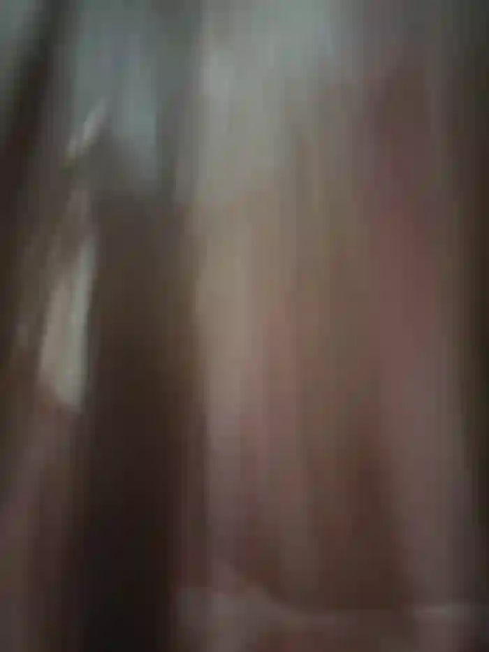 Asianpie_