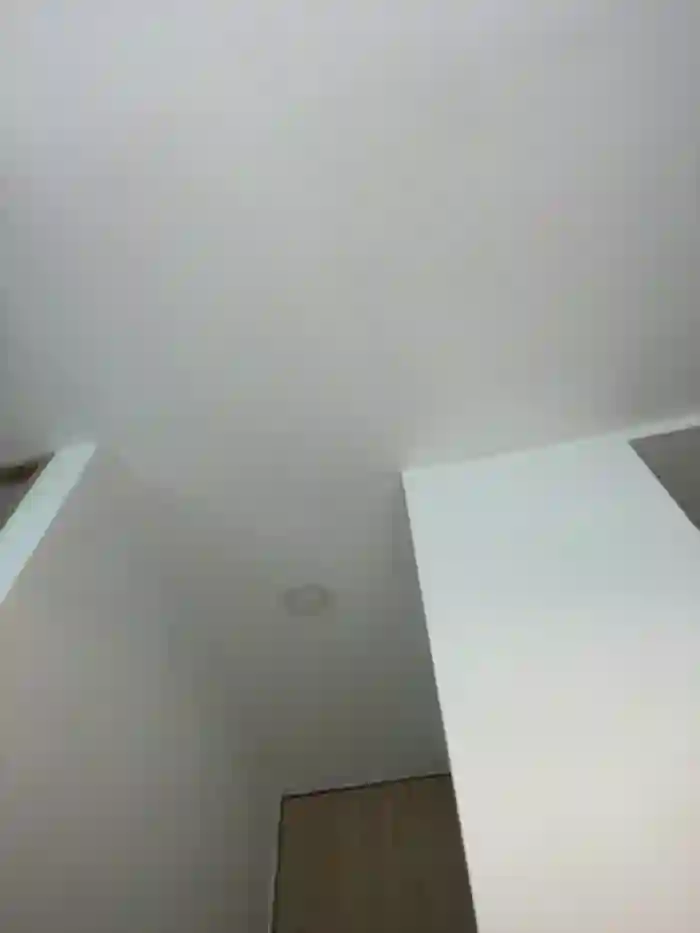 NicoleCut