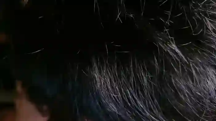 JP_Erotic_LIVE-Camera_