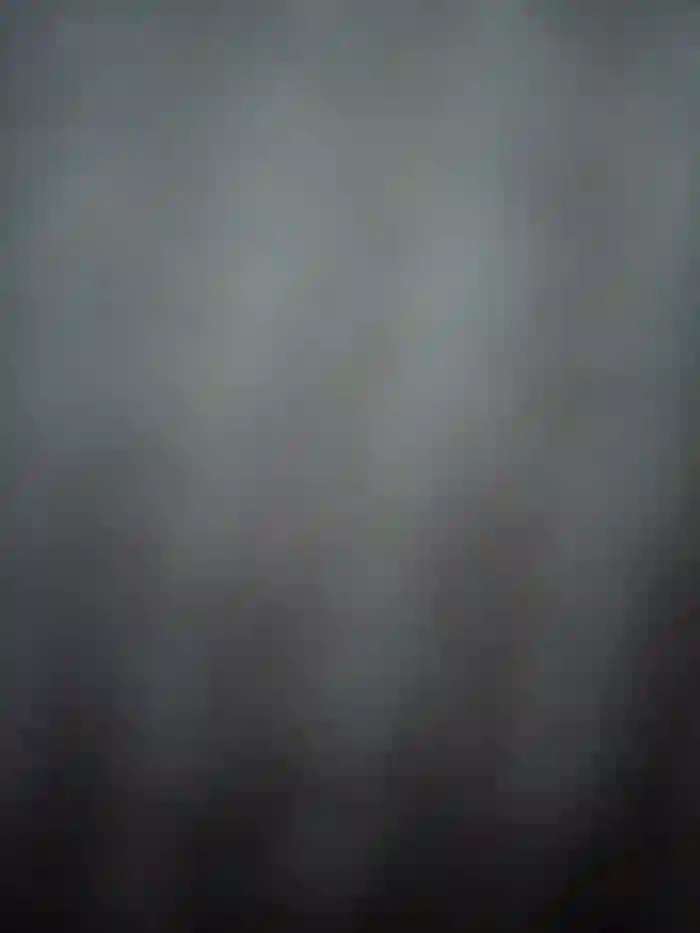 NataLive