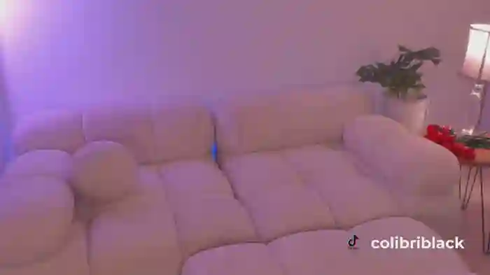 ColibriBlack