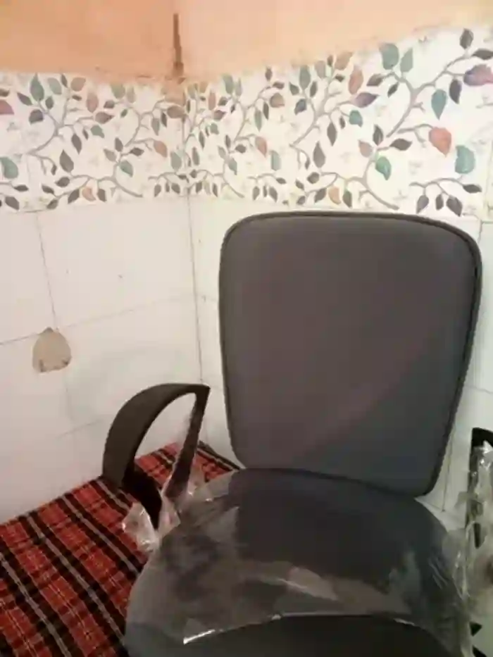 Alina_398