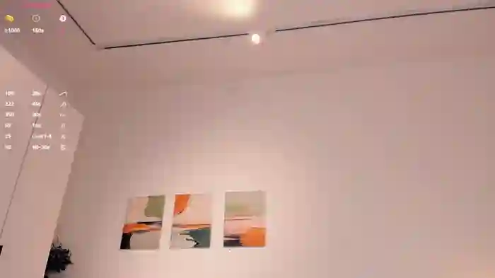 Riskyproject