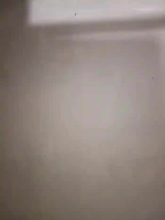 RoomExotic11