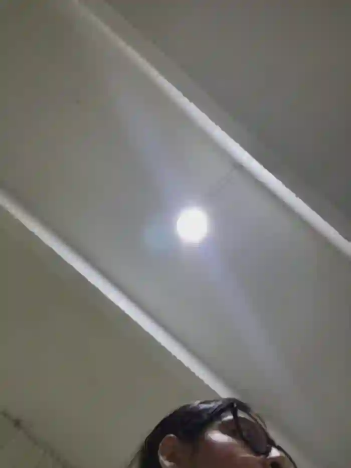 charlotte_stevenss_