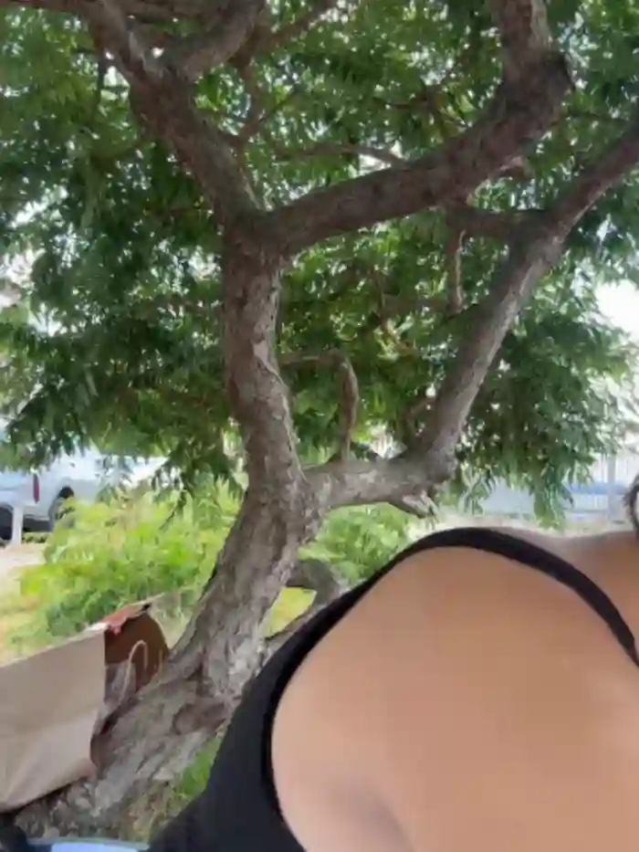 KikiWatson