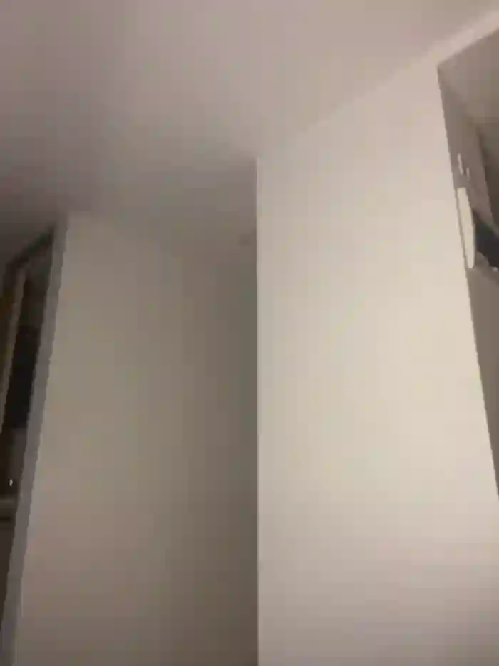 NicoleCut