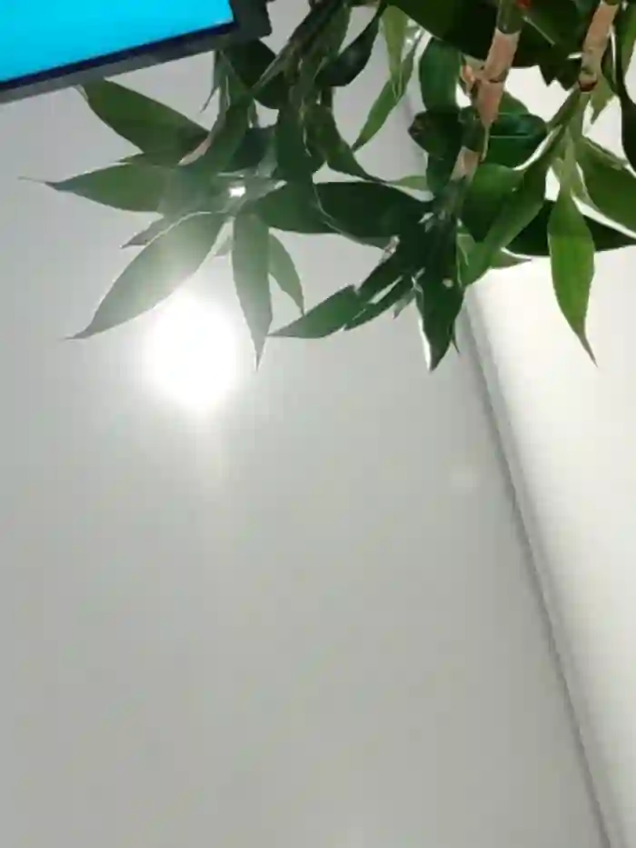 ialnuyoa_h
