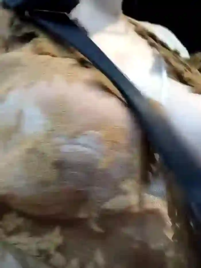 chenxin778