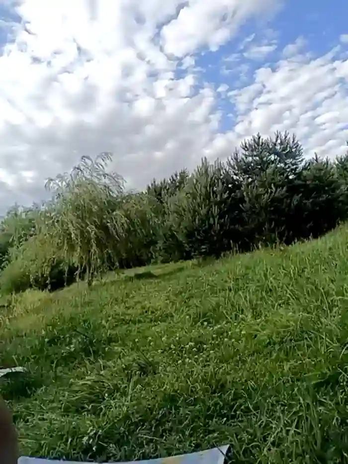 angel_demon17