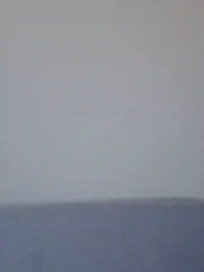 Tarwa05