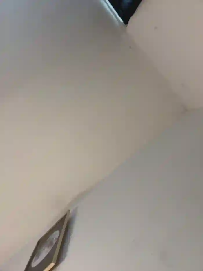_Danna