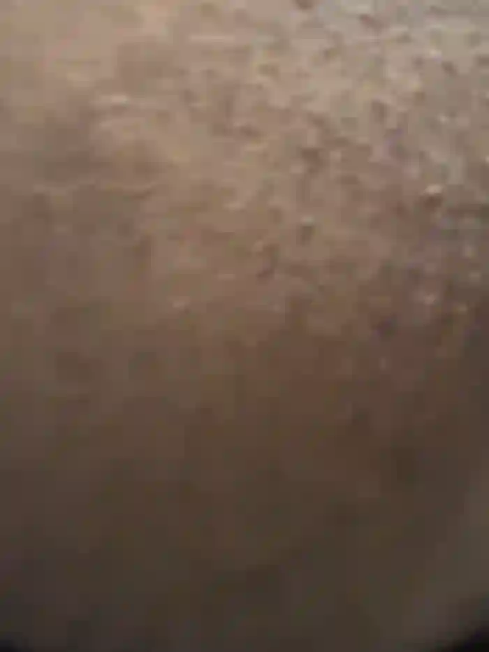 d_skillz_would
