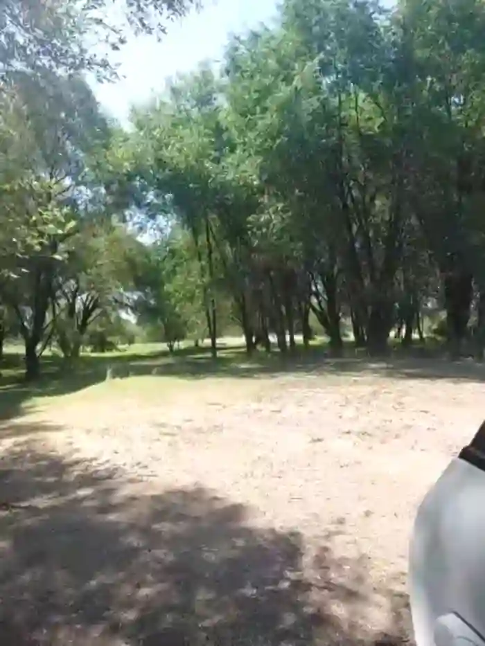 Crazy_lady69