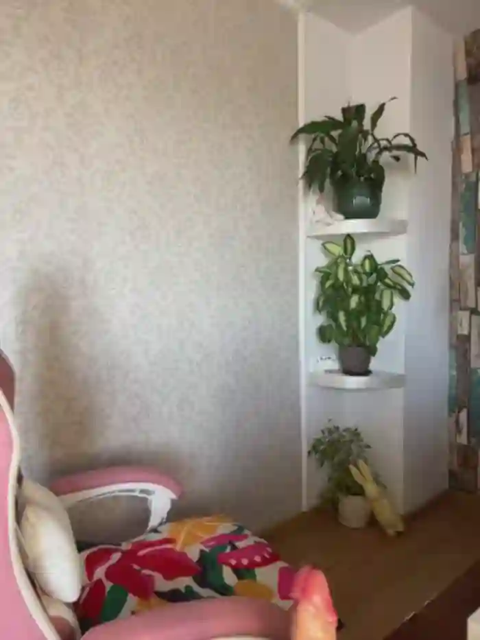 ZenaidaSasha