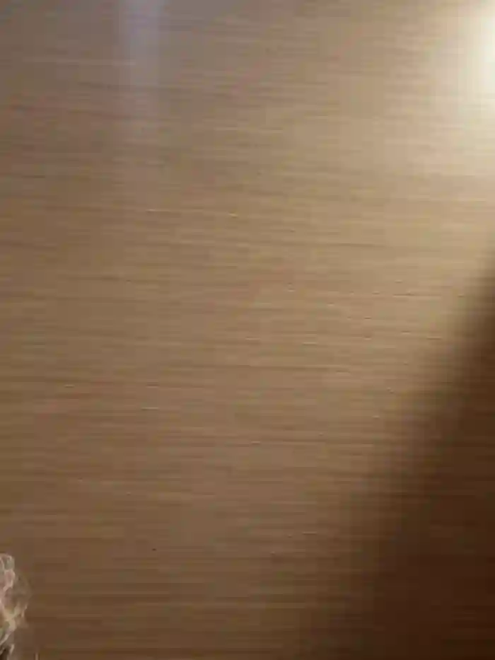 melissa_grr