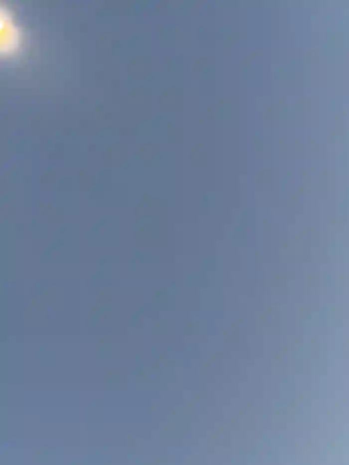 DoriDeluxe66