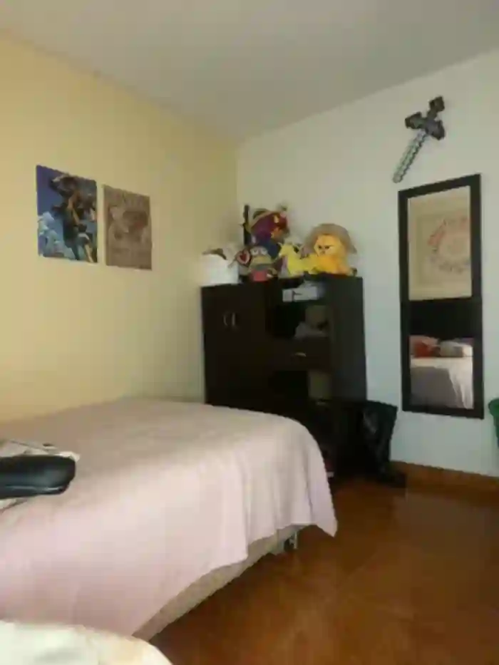 Michiis_