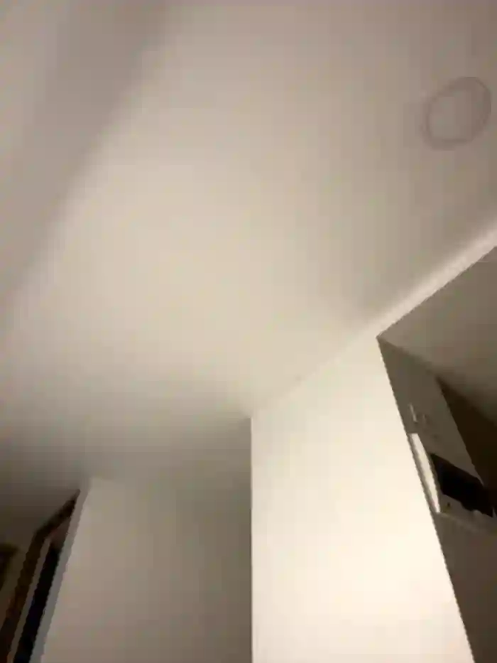 NicoleCut