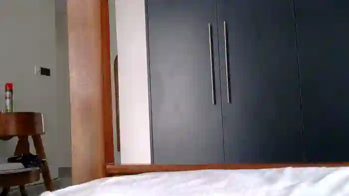 katt008