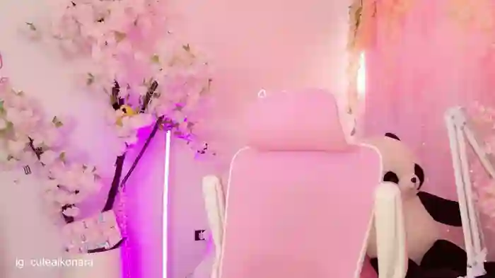 aikonany