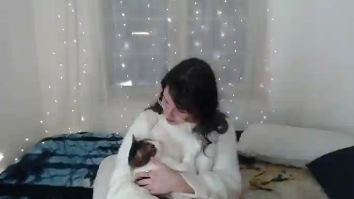 Lycalosex_