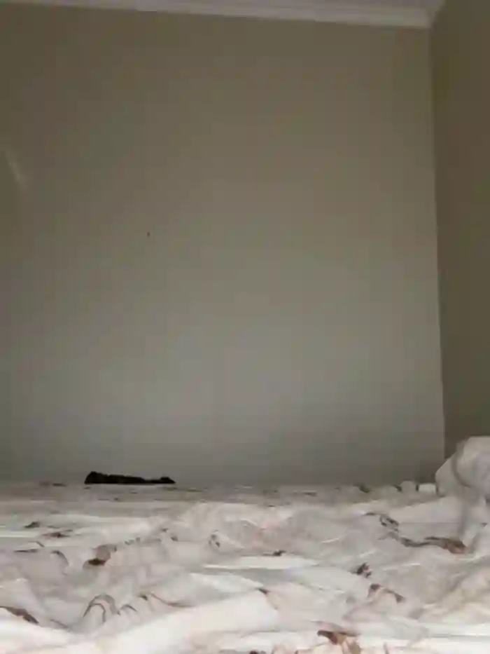 NickiLike