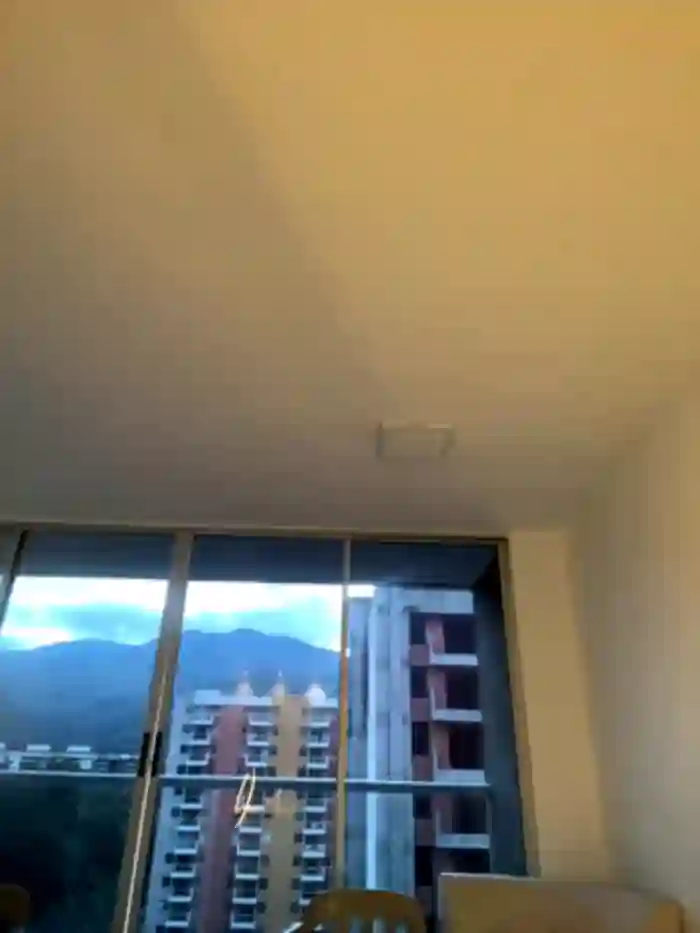NicoleCut